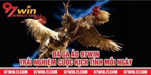 Đá Gà Ảo 97win Trải Nghiệm Cược Kịch Tính Mỗi Ngày