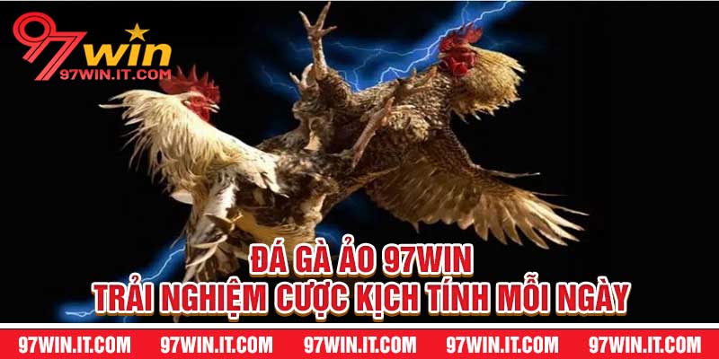 Đá Gà Ảo 97win Trải Nghiệm Cược Kịch Tính Mỗi Ngày