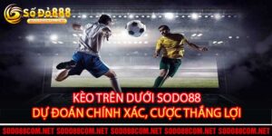 Kèo Trên Dưới Sodo88 Dự Đoán Chính Xác, Cược Thắng Lợi